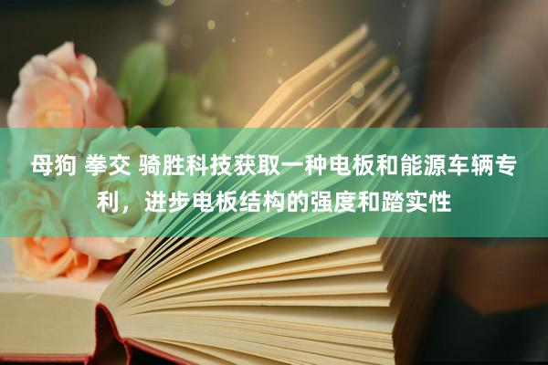 母狗 拳交 骑胜科技获取一种电板和能源车辆专利，进步电板结构的强度和踏实性