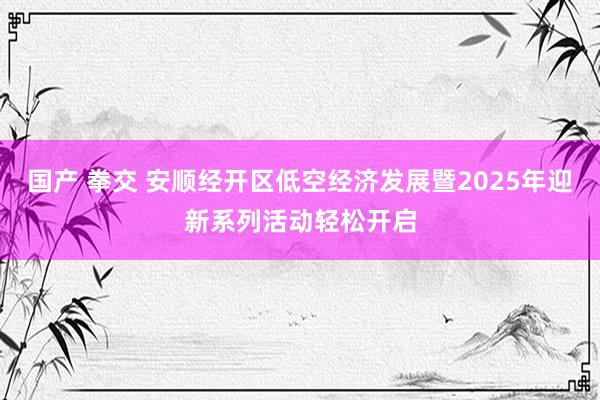 国产 拳交 安顺经开区低空经济发展暨2025年迎新系列活动轻松开启