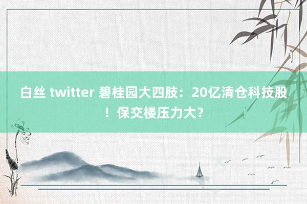 白丝 twitter 碧桂园大四肢：20亿清仓科技股！保交楼压力大？