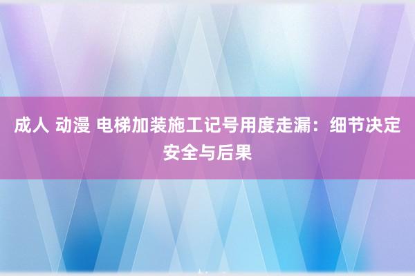 成人 动漫 电梯加装施工记号用度走漏：细节决定安全与后果