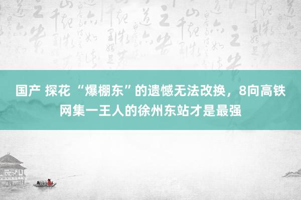 国产 探花 “爆棚东”的遗憾无法改换，8向高铁网集一王人的徐州东站才是最强