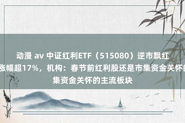 动漫 av 中证红利ETF（515080）逆市飘红，2024年涨幅超17%，机构：春节前红利股还是市集资金关怀的主流板块