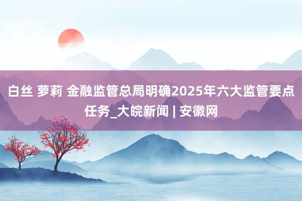 白丝 萝莉 金融监管总局明确2025年六大监管要点任务_大皖新闻 | 安徽网