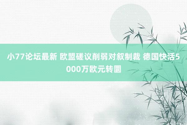 小77论坛最新 欧盟磋议削弱对叙制裁 德国快活5000万欧元转圜