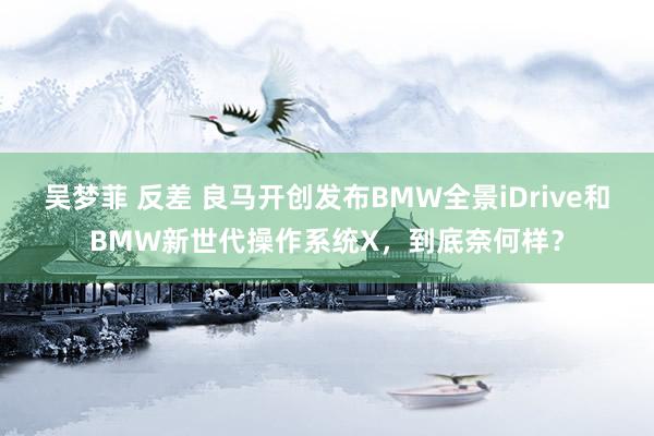 吴梦菲 反差 良马开创发布BMW全景iDrive和BMW新世代操作系统X，到底奈何样？